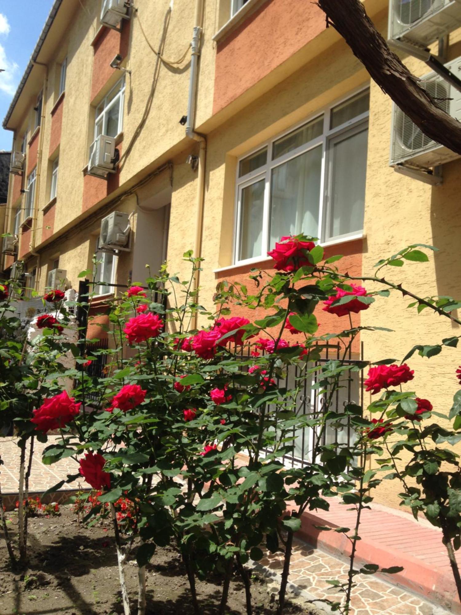 Sultanahmet Deluxe Yilmaz Apart 이스탄불 외부 사진